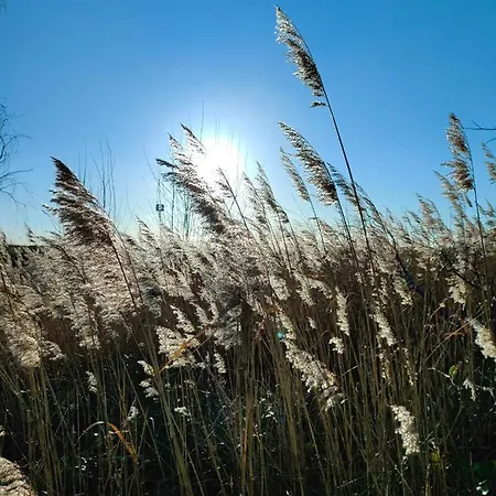 Apartament Mistral Jastarnia