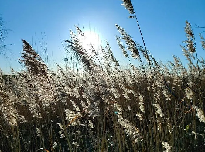 Lejlighed Mistral Jastarnia